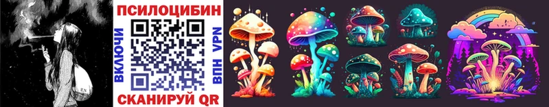 где найти наркотики  Усть-Катав  mega tor  Галлюциногенные грибы Psilocybine cubensis 